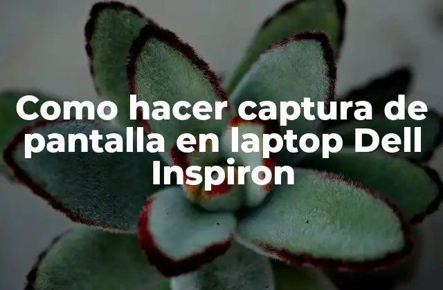 Como Hacer Captura de Pantalla en Laptop Dell Inspiron