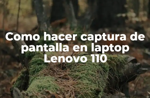 Como Hacer Captura de Pantalla en Laptop Lenovo 110