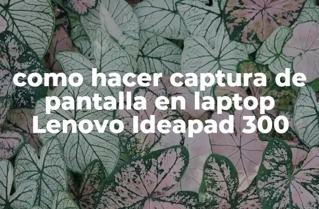 Como Hacer Captura de Pantalla en Laptop Lenovo Ideapad 300