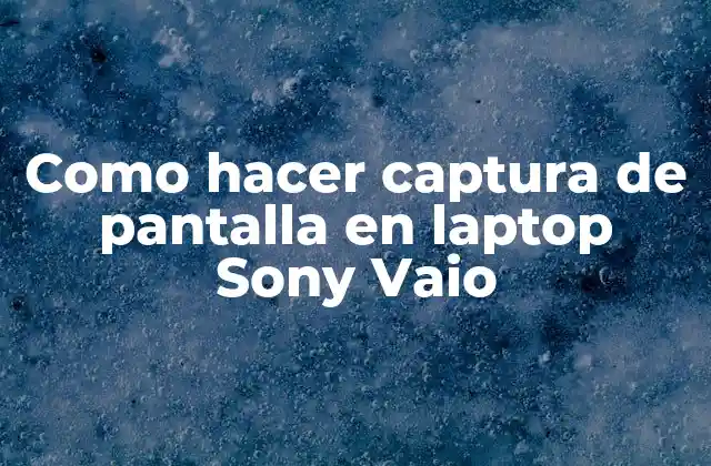 Como Hacer Captura de Pantalla en Laptop Sony Vaio