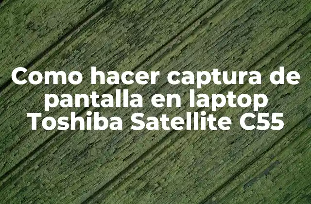 Como Hacer Captura de Pantalla en Laptop Toshiba Satellite C55
