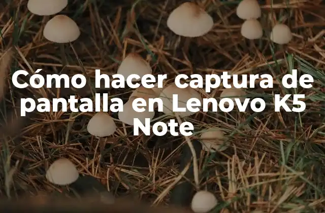 Cómo Hacer Captura de Pantalla en Lenovo K5 Note