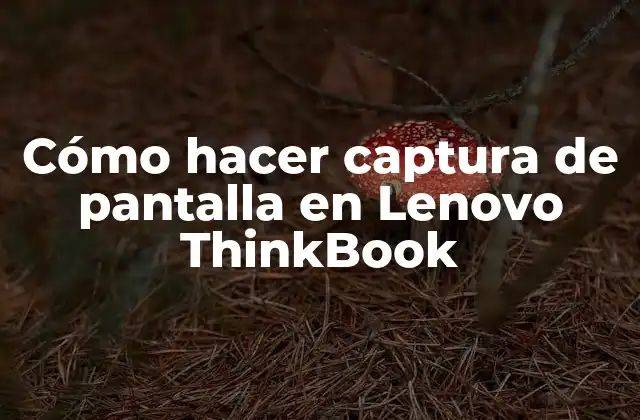 Cómo Hacer Captura de Pantalla en Lenovo Thinkbook