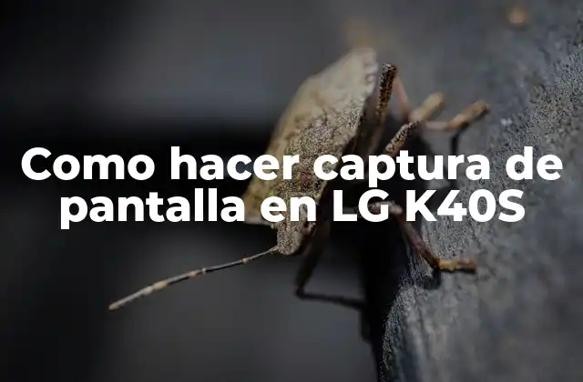 Como Hacer Captura de Pantalla en Lg K40s
