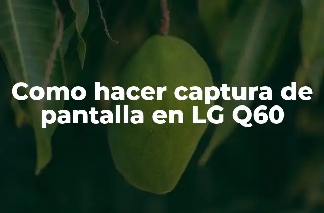 Como Hacer Captura de Pantalla en Lg Q60