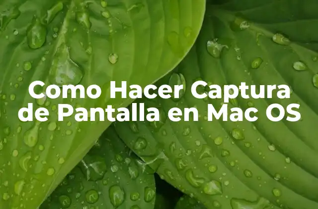 Como Hacer Captura de Pantalla en Mac Os 2 Qué es una Captura de Pantalla en Mac OS