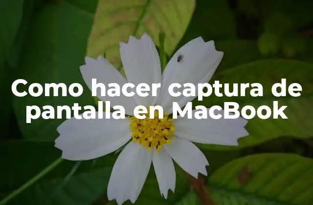 Como Hacer Captura de Pantalla en Macbook