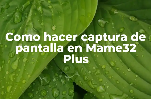 Como Hacer Captura de Pantalla en Mame32 Plus