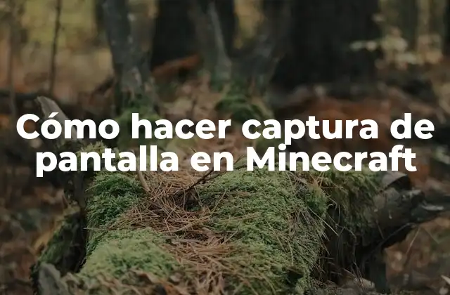 Cómo Hacer Captura de Pantalla en Minecraft 2 ¿Qué es una captura de pantalla en Minecraft?