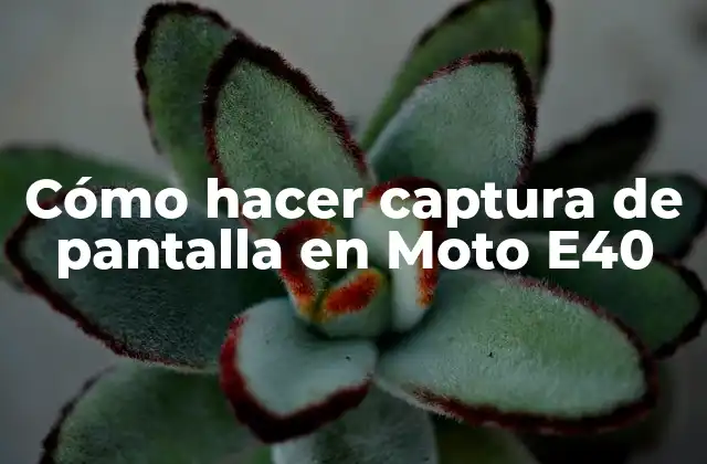 Cómo Hacer Captura de Pantalla en Moto E40
