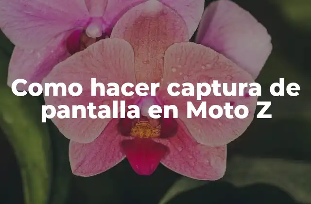 Como Hacer Captura de Pantalla en Moto Z