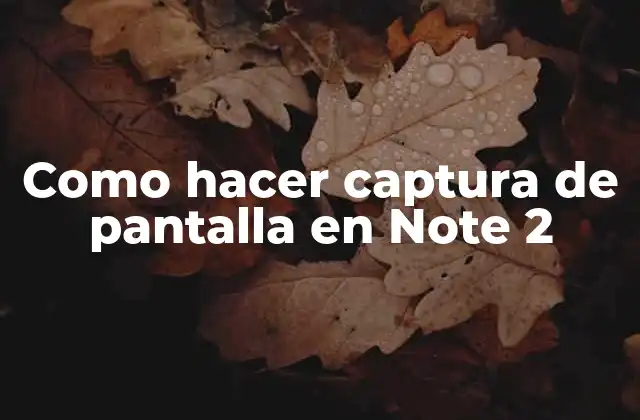 Como Hacer Captura de Pantalla en Note 2