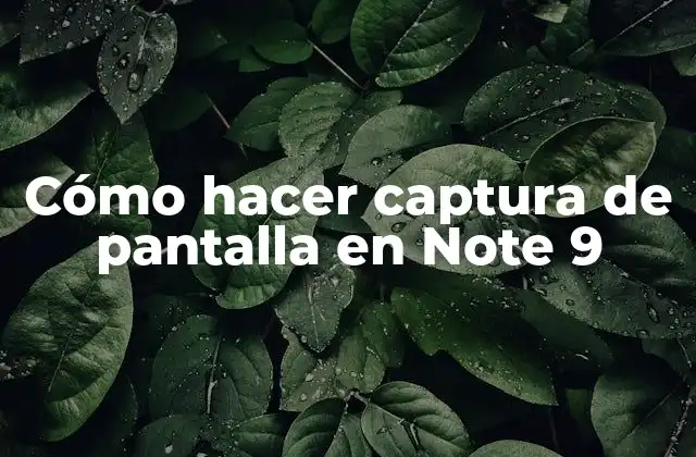 Cómo hacer captura de pantalla en Note 9