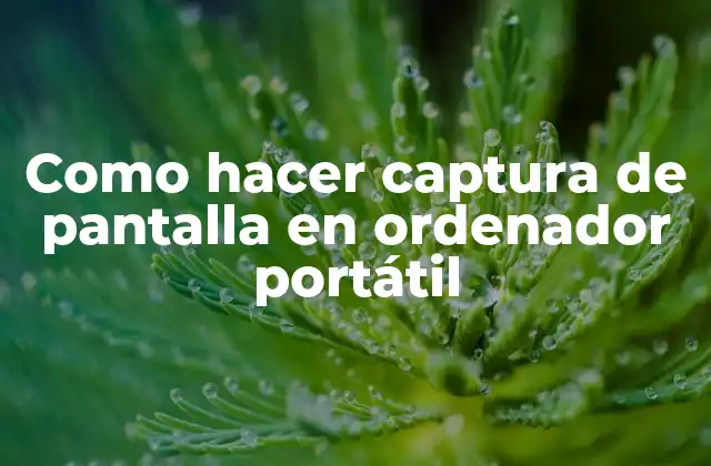 Captura de pantalla en un ordenador portátil