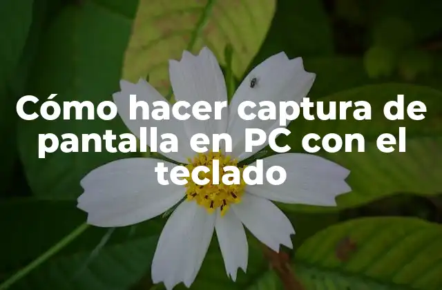 Cómo Hacer Captura de Pantalla en Pc con el Teclado