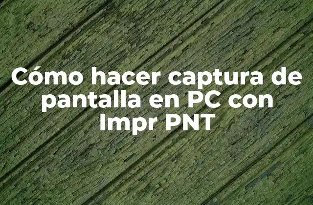 Cómo Hacer Captura de Pantalla en Pc con Impr Pnt