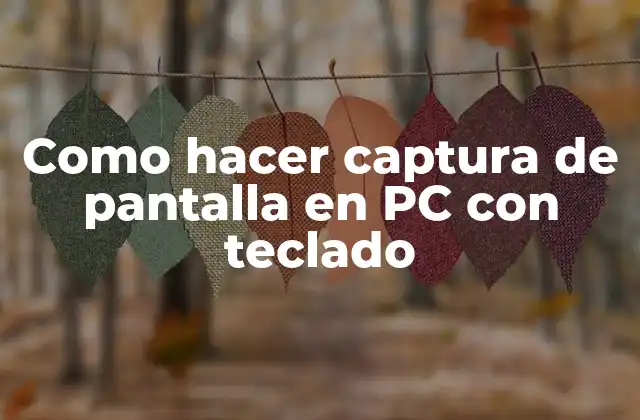 Como Hacer Captura de Pantalla en Pc con Teclado