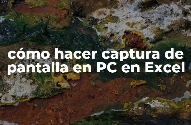 Cómo Hacer Captura de Pantalla en Pc en Excel