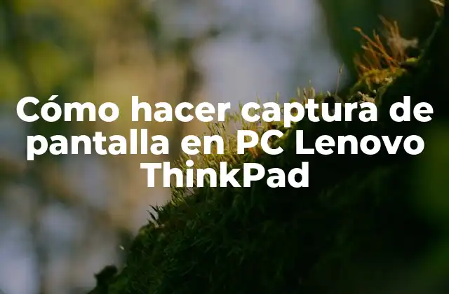 Cómo Hacer Captura de Pantalla en Pc Lenovo Thinkpad