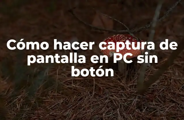 Cómo Hacer Captura de Pantalla en Pc sin Botón