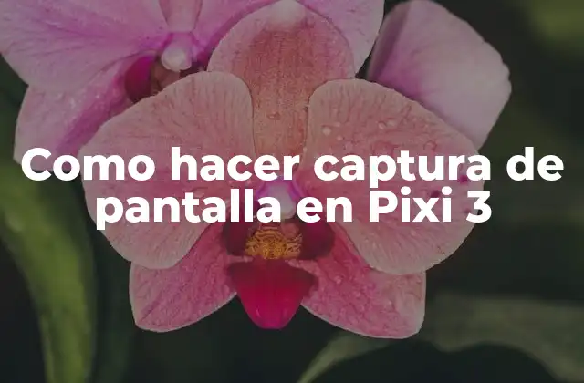 Como Hacer Captura de Pantalla en Pixi 3