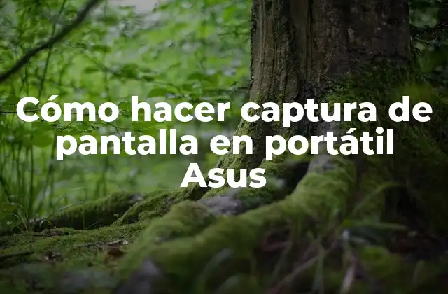 Cómo Hacer Captura de Pantalla en Portátil Asus