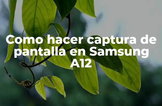 Como Hacer Captura de Pantalla en Samsung A12