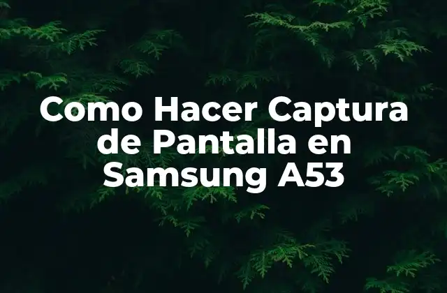 Como Hacer Captura de Pantalla en Samsung A53