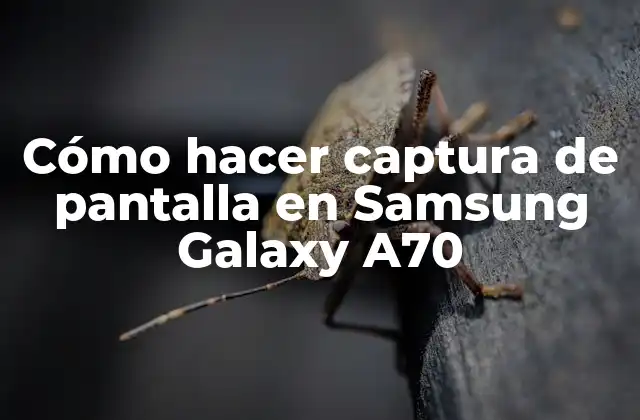 Cómo Hacer Captura de Pantalla en Samsung Galaxy A70