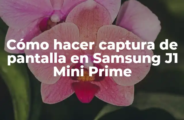Cómo Hacer Captura de Pantalla en Samsung J1 Mini Prime