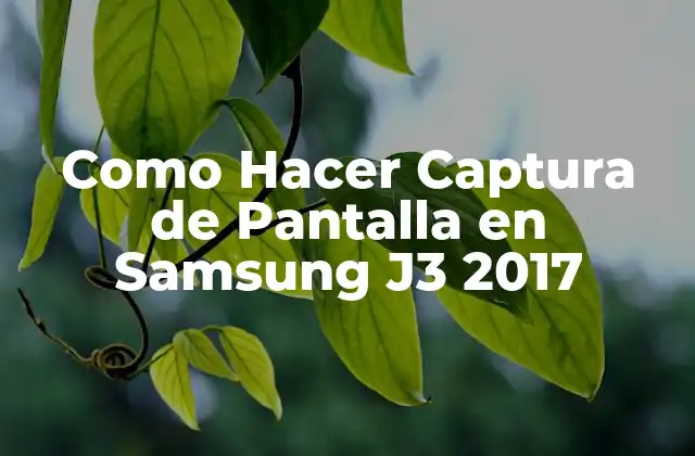 Como Hacer Captura de Pantalla en Samsung J3 2017