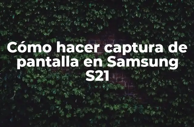 Cómo Hacer Captura de Pantalla en Samsung S21