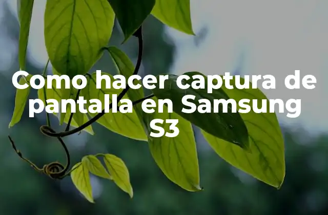 Como Hacer Captura de Pantalla en Samsung S3