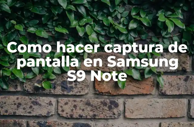 Como Hacer Captura de Pantalla en Samsung S9 Note 2 ¿Qué es la captura de pantalla en Samsung S9 Note?
