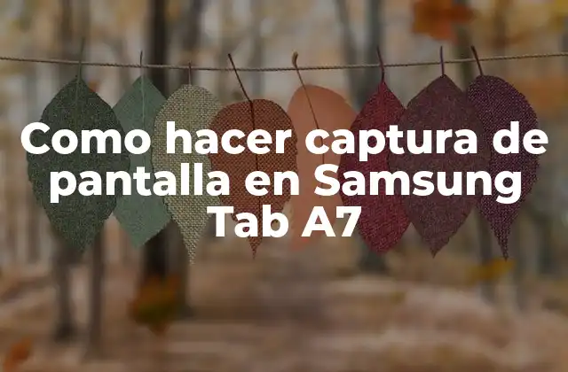 Como Hacer Captura de Pantalla en Samsung Tab A7 2 Captura de pantalla en Samsung Tab A7
