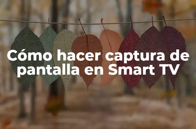 Cómo Hacer Captura de Pantalla en Smart Tv