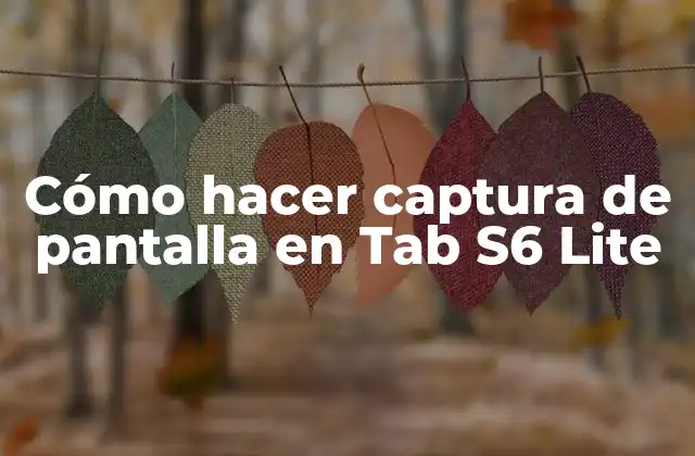 Cómo Hacer Captura de Pantalla en Tab S6 Lite