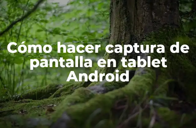 Cómo Hacer Captura de Pantalla en Tablet Android