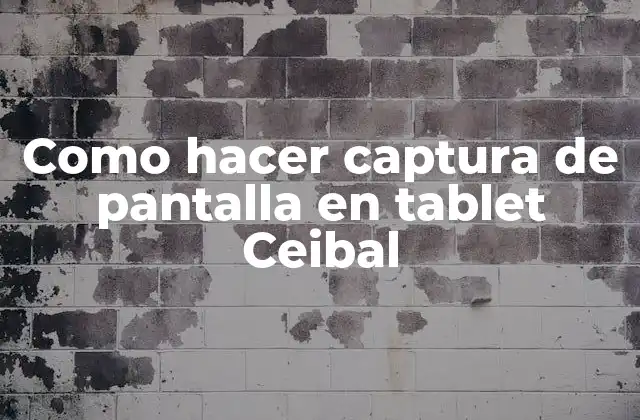 Como Hacer Captura de Pantalla en Tablet Ceibal