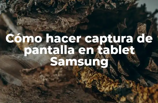 Cómo Hacer Captura de Pantalla en Tablet Samsung