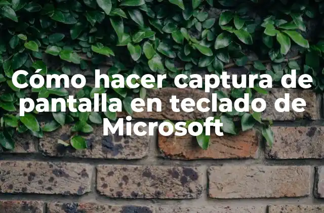 Captura de pantalla en teclado de Microsoft