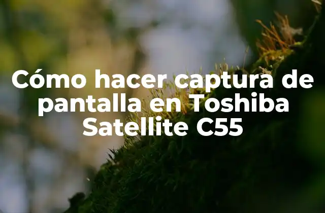 Cómo Hacer Captura de Pantalla en Toshiba Satellite C55