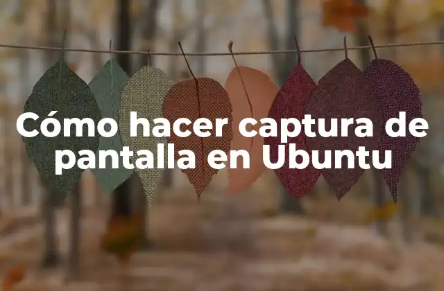 Cómo Hacer Captura de Pantalla en Ubuntu