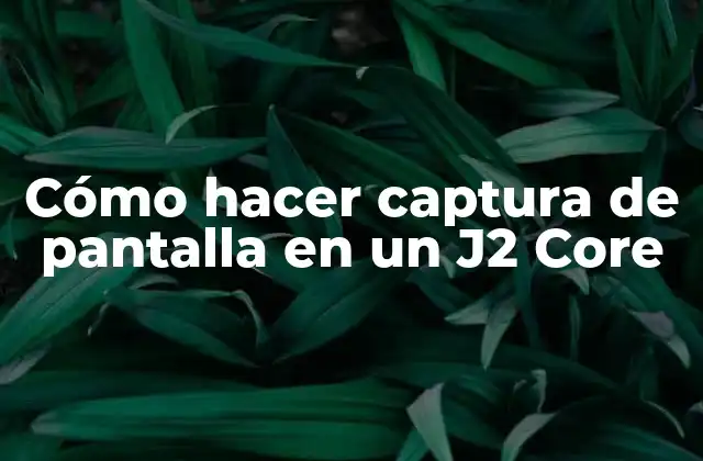 Cómo Hacer Captura de Pantalla en un J2 Core