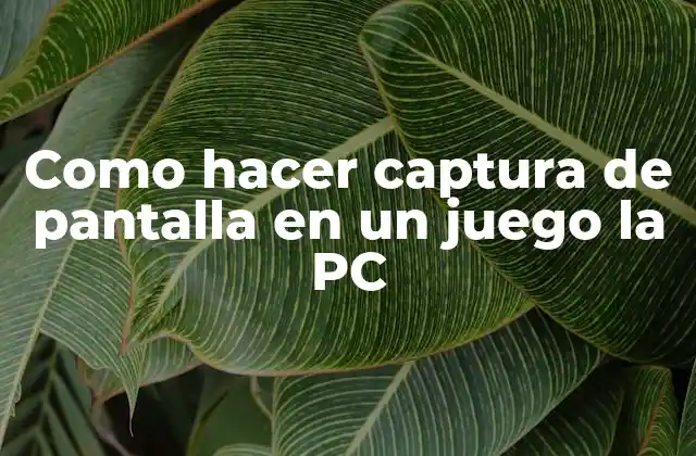 Como Hacer Captura de Pantalla en un Juego la Pc