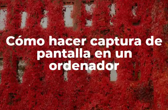 Cómo Hacer Captura de Pantalla en un Ordenador