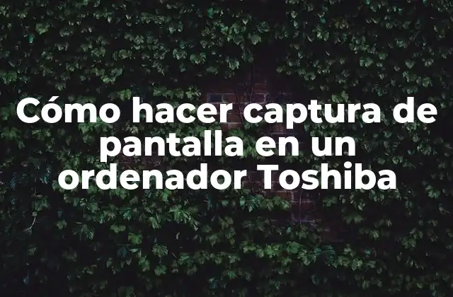 Cómo Hacer Captura de Pantalla en un Ordenador Toshiba