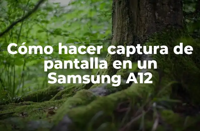 Cómo Hacer Captura de Pantalla en un Samsung A12