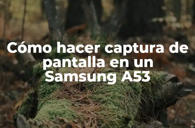 Cómo Hacer Captura de Pantalla en un Samsung A53