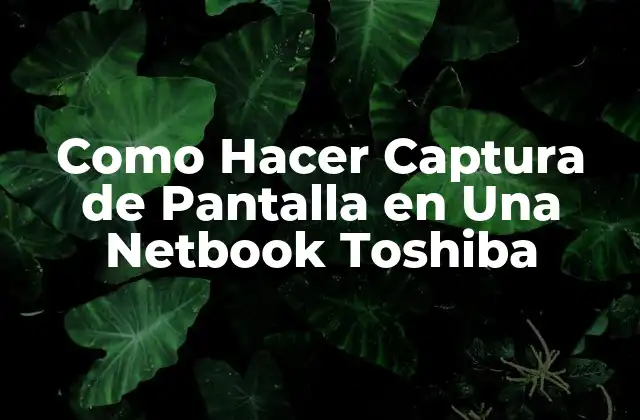 Como Hacer Captura de Pantalla en una Netbook Toshiba